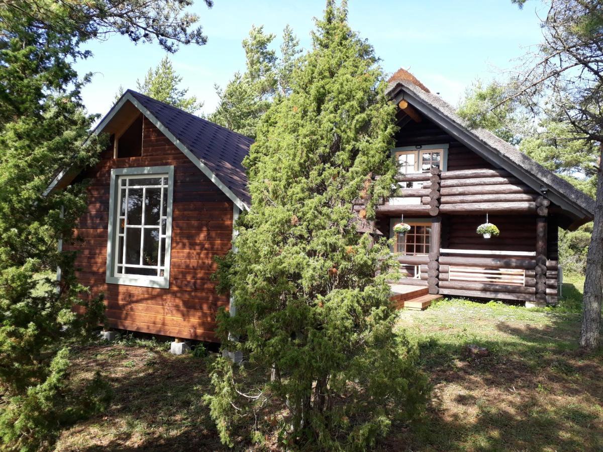 Pähkli Seaside Cottage with Cozy Outdoor Patio Koiguste Buitenkant foto